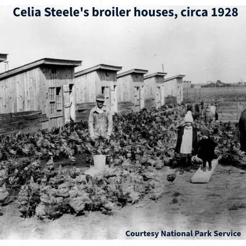 Cecile Steele Chicken House
