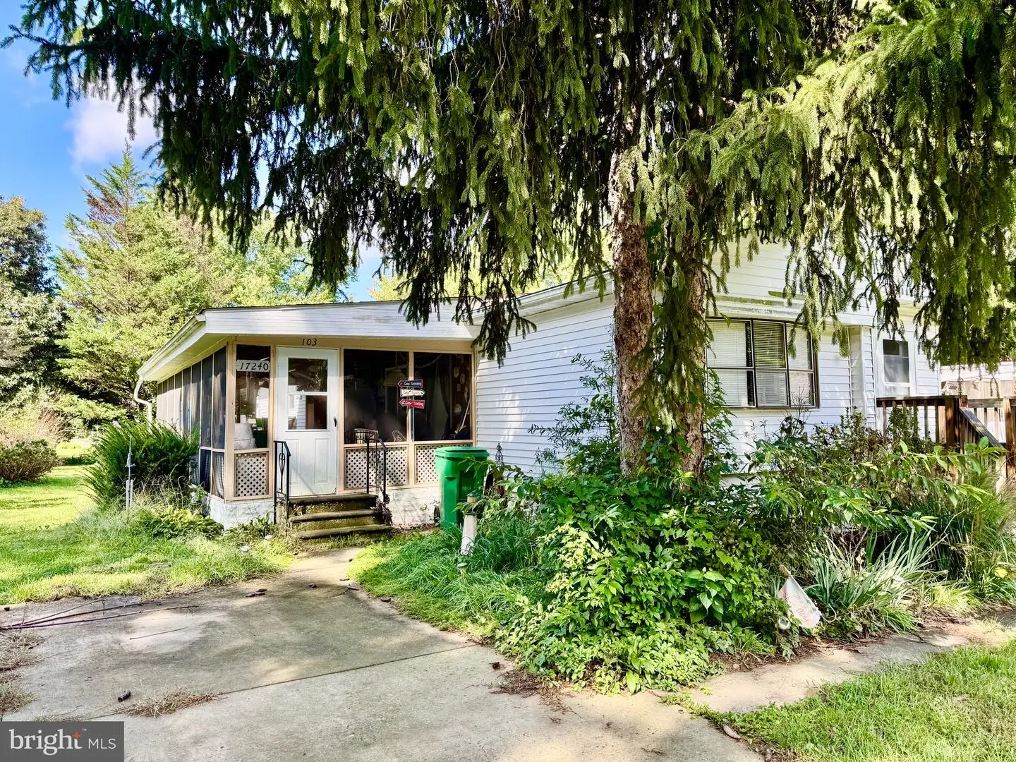 listing image