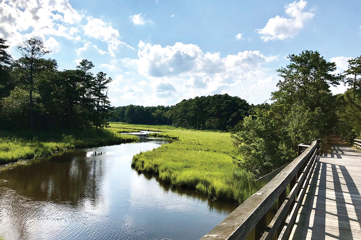 AD-Sensational-Southern-Delaware-Junction-and-Breakwater-Trail-view-IMG_5021-1 From Delaware Today: Where to Explore Outdoors Around the Delaware Beaches This Year - Jack Lingo REALTOR