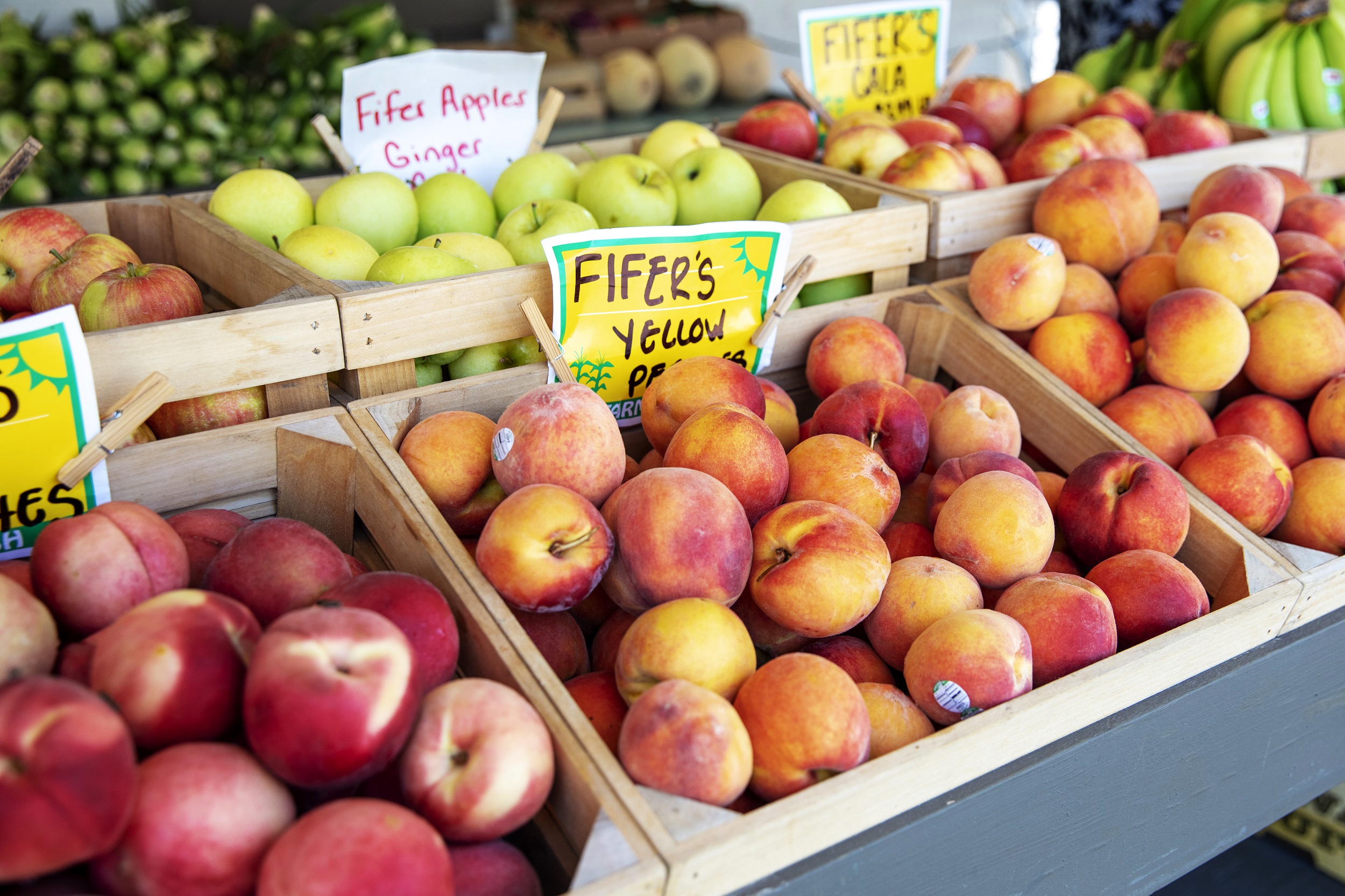 Fifers_Apples A FALL FAVORITE: FIFER ORCHARDS! - Jack Lingo REALTOR