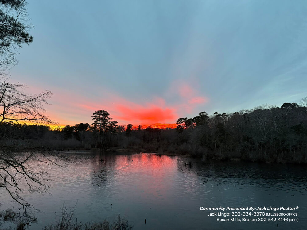 296_fp-ingrams-pond-sunset Fisher&rsquo;s Point - Jack Lingo REALTOR