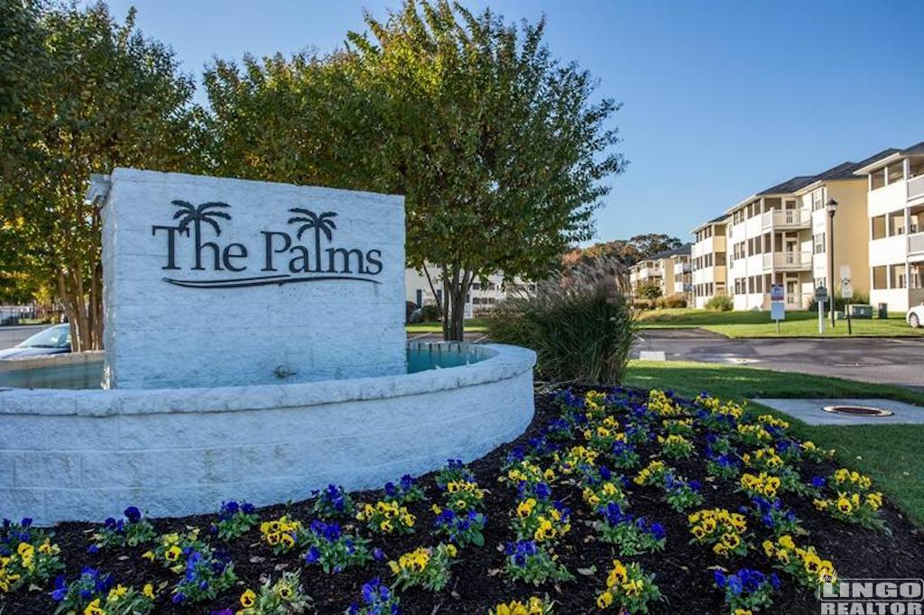 palmextt Rehoboth Beach, Lewes, & Millsboro, DE Real Estate