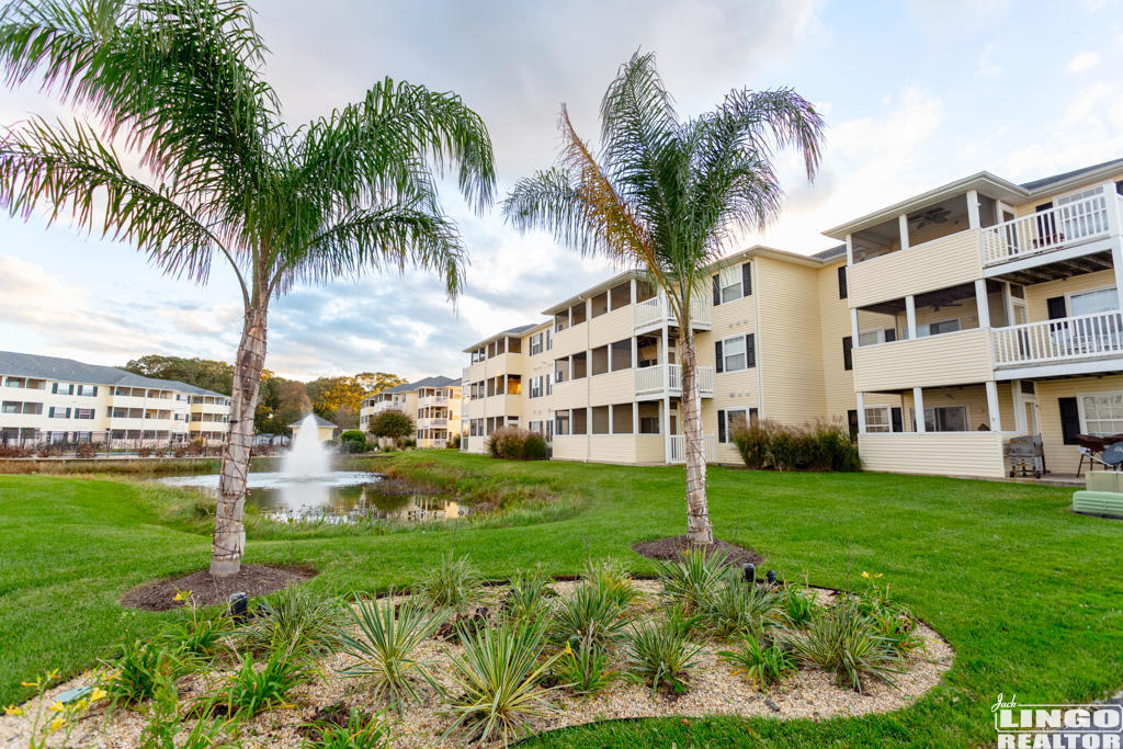 PALMS+PHOTO 36525 PALM DRIVE #5203  Rental Property