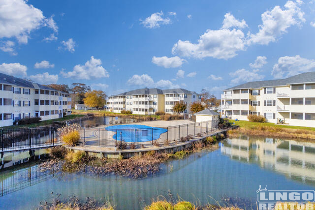 tHE+PALMS+POOL Rehoboth Beach Real Estate, Lewes Beach Real Estate, Henlopen Acres Real Estate, Millsboro Real Estate and DE Beach Rentals - Jack Lingo REALTOR tHE+PALMS+POOL Rehoboth Beach Real Estate, Lewes Beach Real Estate, Henlopen Acres Real Estate, Millsboro Real Estate and DE Beach Rentals - Jack Lingo REALTOR