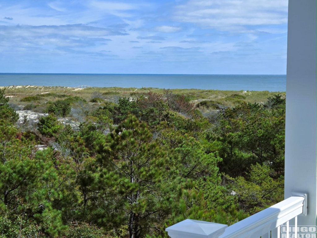 RearDeckview 28447 DRIFTWOOD LANE Rental Property
