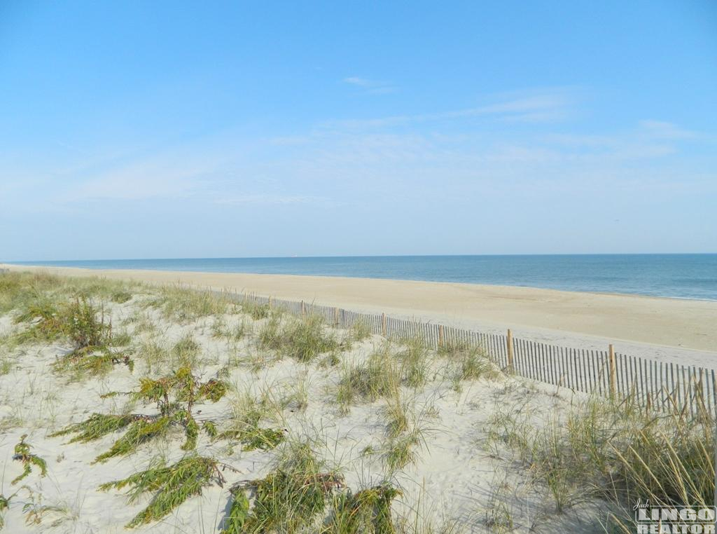 beach Rentals Results - Results from #336