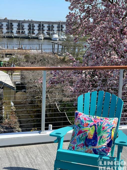 Roof+Deck+2 223 Second Street Rental Property