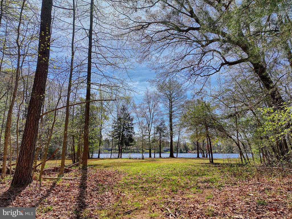 DEKT2027466-803010722380-2025-05-05-19-28-31 Williamsville Rd | Milford, DE Real Estate For Sale | MLS# Dekt2027466  - Jack Lingo REALTOR