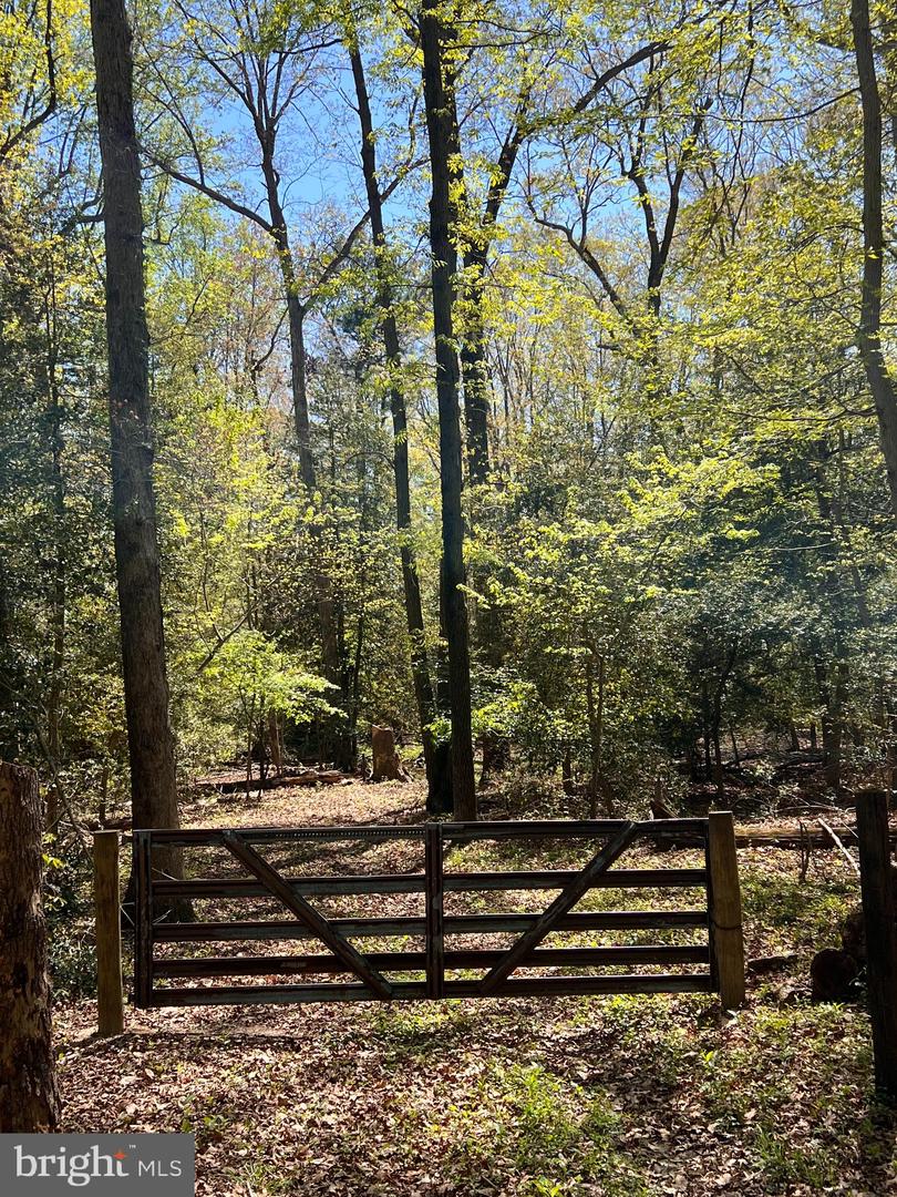 DEKT2027466-803015606242-2025-05-05-19-28-31 Williamsville Rd | Milford, DE Real Estate For Sale | MLS# Dekt2027466  - Jack Lingo REALTOR