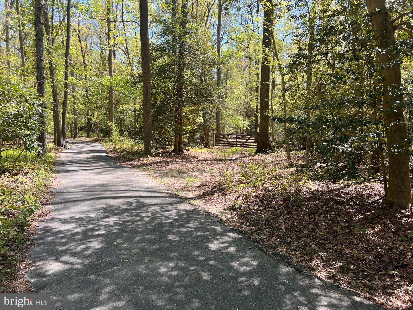 DEKT2027466-803015606866-2025-05-05-19-28-31 Williamsville Rd | Milford, DE Real Estate For Sale | MLS# Dekt2027466  - Jack Lingo REALTOR