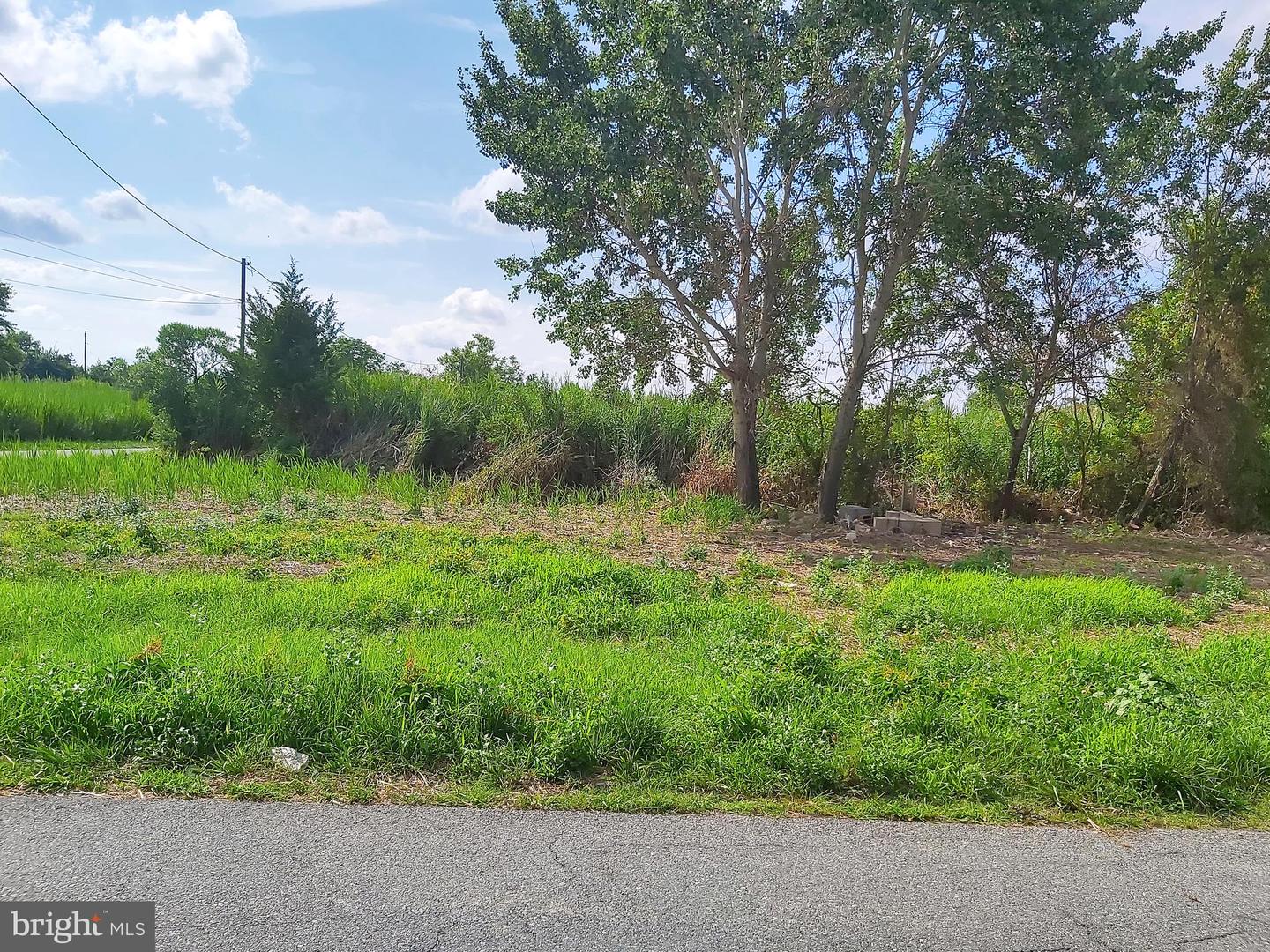 DEKT2029816-803242319586-2025-06-27-19-41-42 15 Bombay Hook Ave | Smyrna, DE Real Estate For Sale | MLS# Dekt2029816  - Jack Lingo REALTOR
