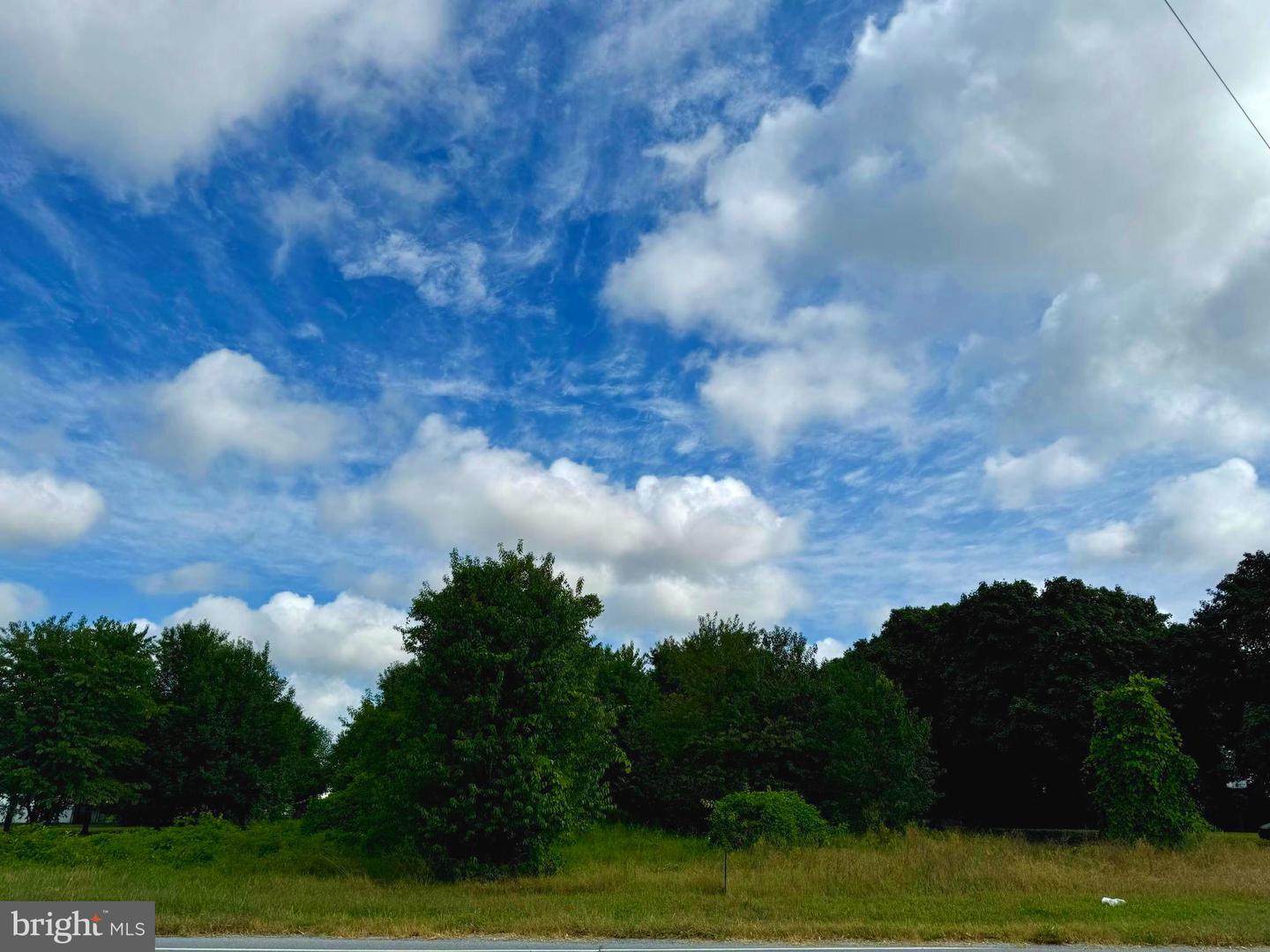 LOT 1 MILFORD-HARRINGTON HWY, MILFORD, DE - Jack Lingo Realtor