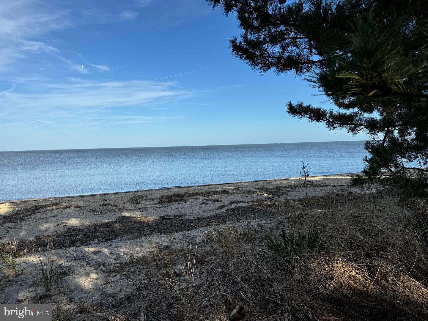 DEKT2032886-803470950770-2025-06-15-19-54-09 217 N Bayshore Dr | Frederica, DE Real Estate For Sale | MLS# Dekt2032886  - Jack Lingo REALTOR