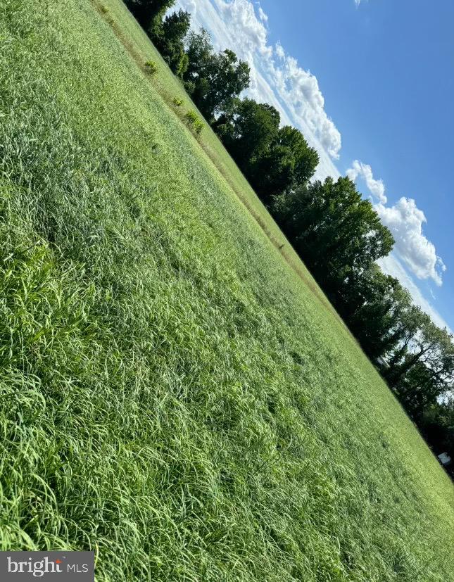 DEKT2035492-803679972668-2025-10-22-14-38-23 84 Spotted Acres Farm Ln | Dover, DE Real Estate For Sale | MLS# Dekt2035492  - Jack Lingo REALTOR