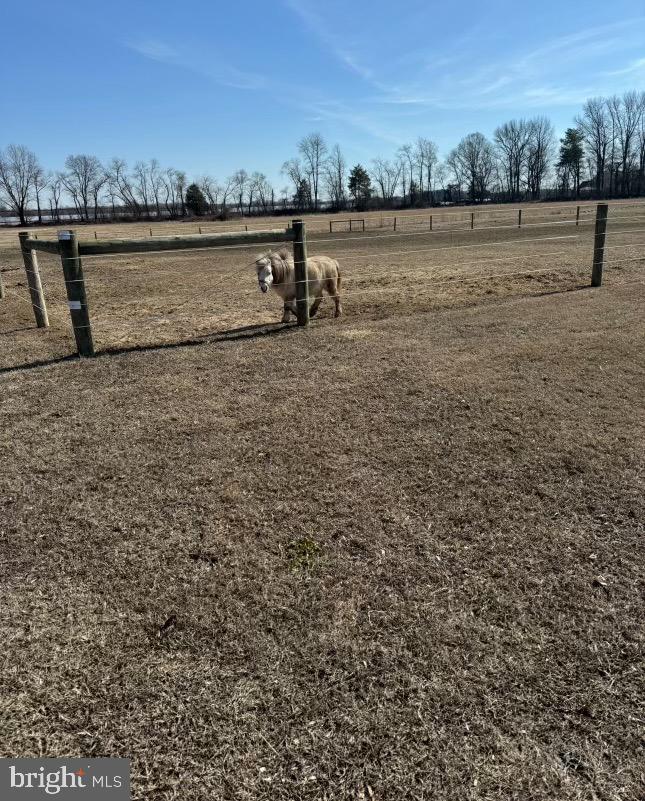 DEKT2035492-803679973108-2025-10-22-14-38-22 84 Spotted Acres Farm Ln | Dover, DE Real Estate For Sale | MLS# Dekt2035492  - Jack Lingo REALTOR