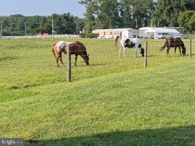 DEKT2035492-803679973294-2025-10-22-14-38-23 84 Spotted Acres Farm Ln | Dover, DE Real Estate For Sale | MLS# Dekt2035492  - Jack Lingo REALTOR