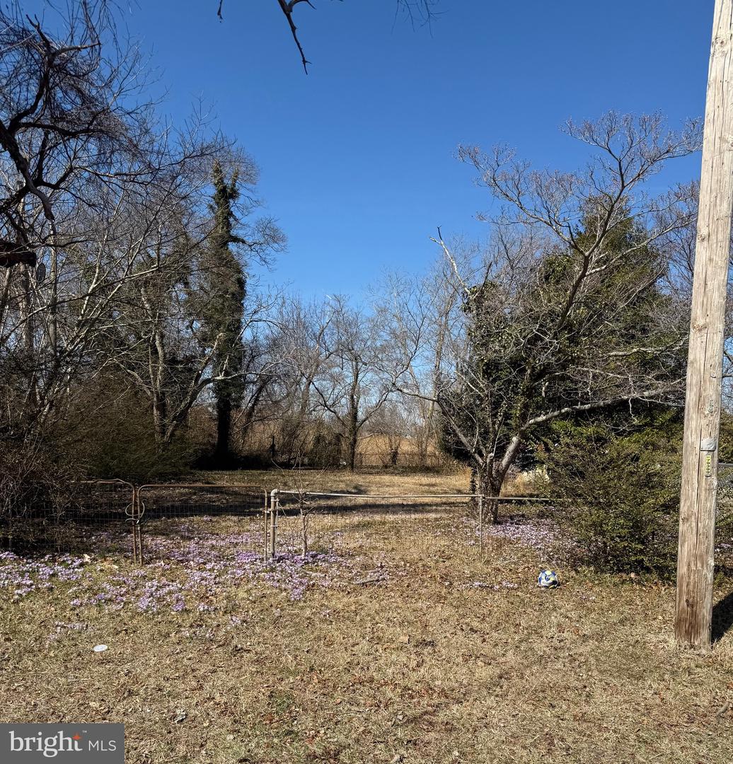 DEKT2035570-803686625168-2025-06-25-14-48-42 62 & 63 Bombay Hook Ave | Smyrna, DE Real Estate For Sale | MLS# Dekt2035570  - Jack Lingo REALTOR