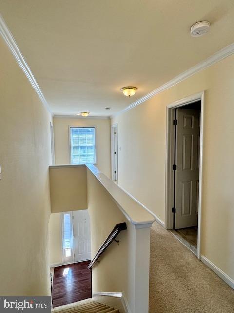 DEKT2035714-803703676012-2025-04-25-11-29-35 228 Tullamore Rd | Magnolia, DE Real Estate For Sale | MLS# Dekt2035714  - Jack Lingo REALTOR