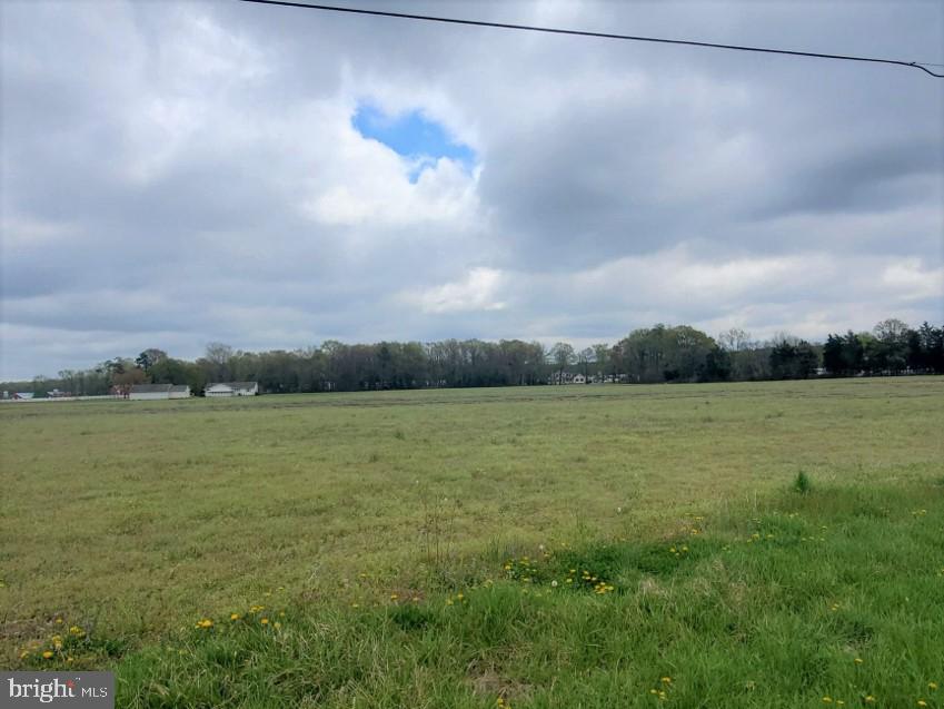 DEKT2035740-803700236608-2025-05-07-15-58-11 0 S Dupont Hwy | Harrington, DE Real Estate For Sale | MLS# Dekt2035740  - Jack Lingo REALTOR