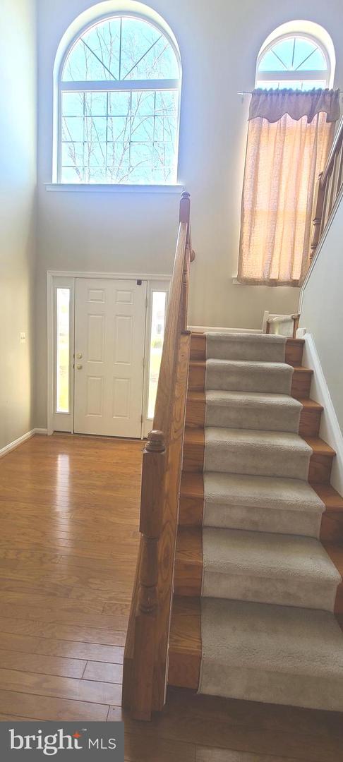 DEKT2035836-803711354276-2025-03-21-16-28-40 352 Marcel Ave | Frederica, DE Real Estate For Sale | MLS# Dekt2035836  - Jack Lingo REALTOR