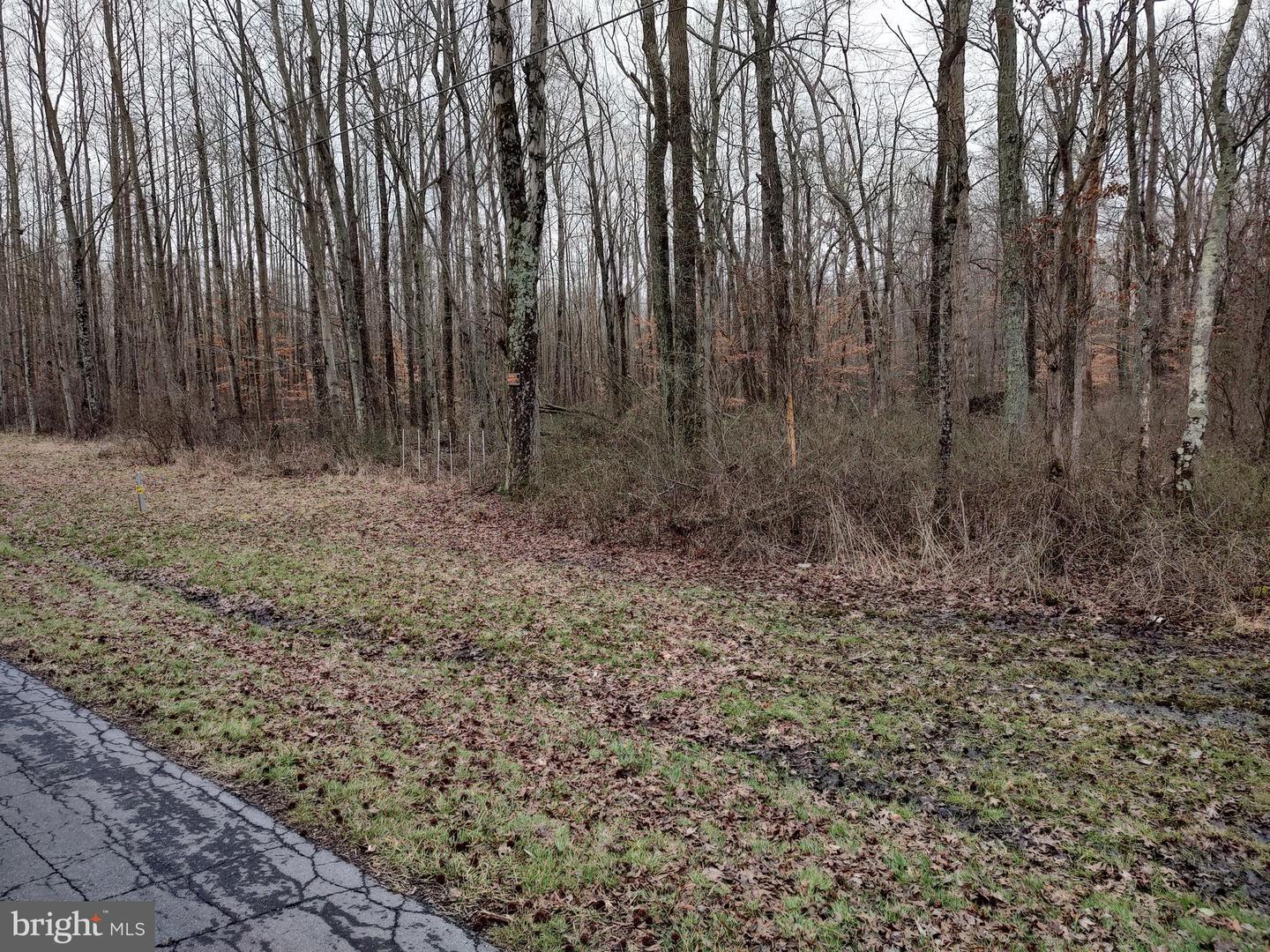 DEKT2036594-803777692800-2025-04-17-12-45-14 Lot 2 Underwoods Corner Rd | Clayton, DE Real Estate For Sale | MLS# Dekt2036594  - Jack Lingo REALTOR