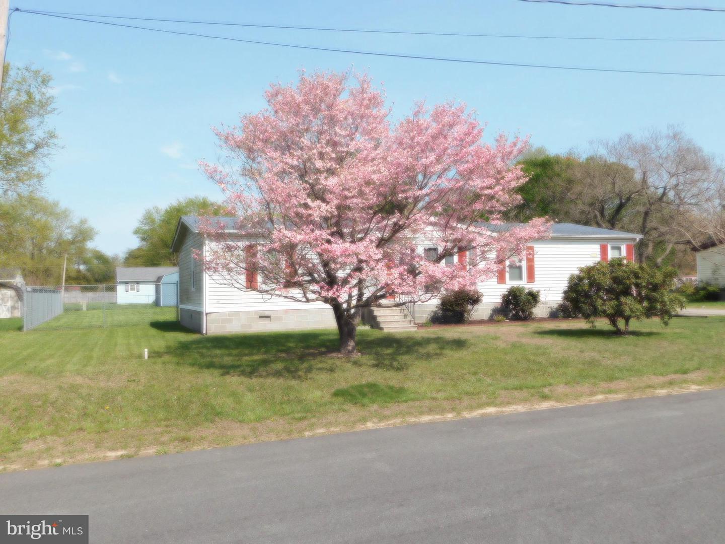 DEKT2036980-803802748046-2025-05-12-22-53-58 33 W Cherry Dr | Magnolia, DE Real Estate For Sale | MLS# Dekt2036980  - Jack Lingo REALTOR