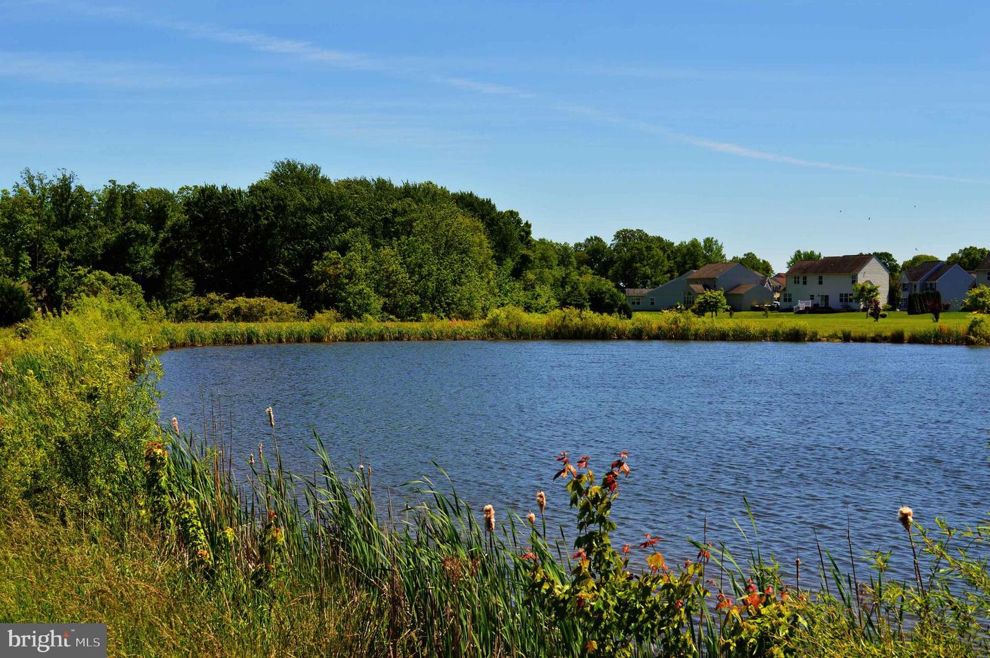 DEKT2038182-803907467704-2025-08-21-14-56-20 492 E Constitution Dr #jamestown Plan | Smyrna, DE Real Estate For Sale | MLS# Dekt2038182 - Jack Lingo REALTOR DEKT2038182-803907467704-2025-08-21-14-56-20 492 E Constitution Dr #jamestown Plan | Smyrna, DE Real Estate For Sale | MLS# Dekt2038182 - Jack Lingo REALTOR