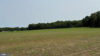 DEKT2038316-803920659240-2025-06-16-10-37-45 Thompsonville Rd & Big Stone Beach Rd Rd | Milford, DE Real Estate For Sale | MLS# Dekt2038316  - Jack Lingo REALTOR