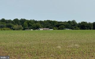 DEKT2038316-803920659422-2025-06-16-10-37-45 Thompsonville Rd & Big Stone Beach Rd Rd | Milford, DE Real Estate For Sale | MLS# Dekt2038316  - Jack Lingo REALTOR