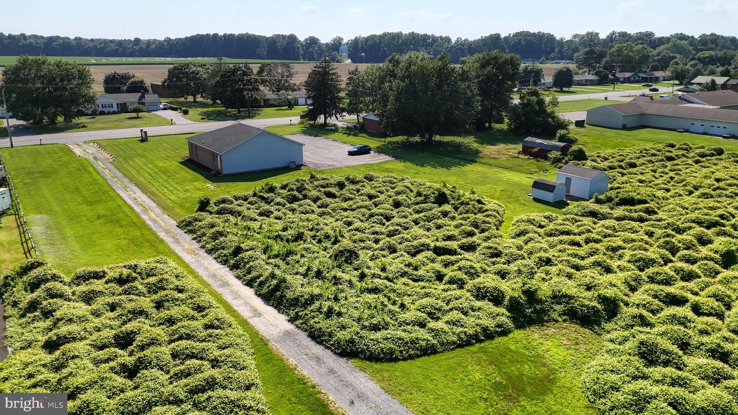 DEKT2038926-803995309170-2025-07-15-00-10-47 818 Milford Harrington Hwy | Milford, DE Real Estate For Sale | MLS# Dekt2038926  - Jack Lingo REALTOR