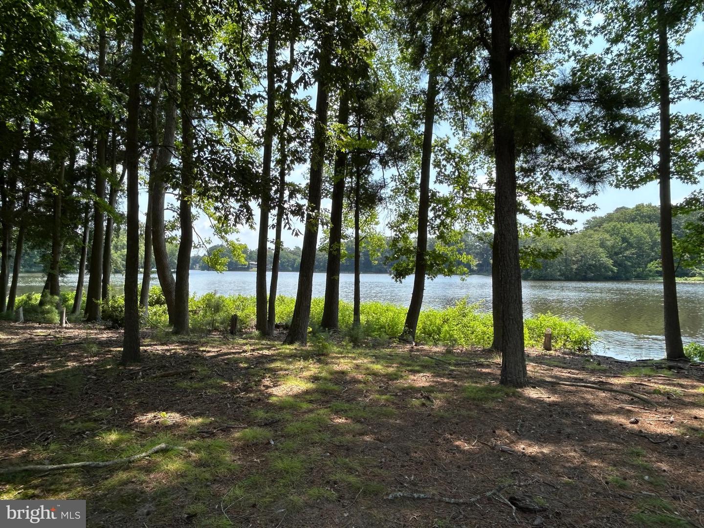 DEKT2039212-803995177898-2025-07-10-18-11-29 13 Lake Crest Dr | Milford, DE Real Estate For Sale | MLS# Dekt2039212  - Jack Lingo REALTOR