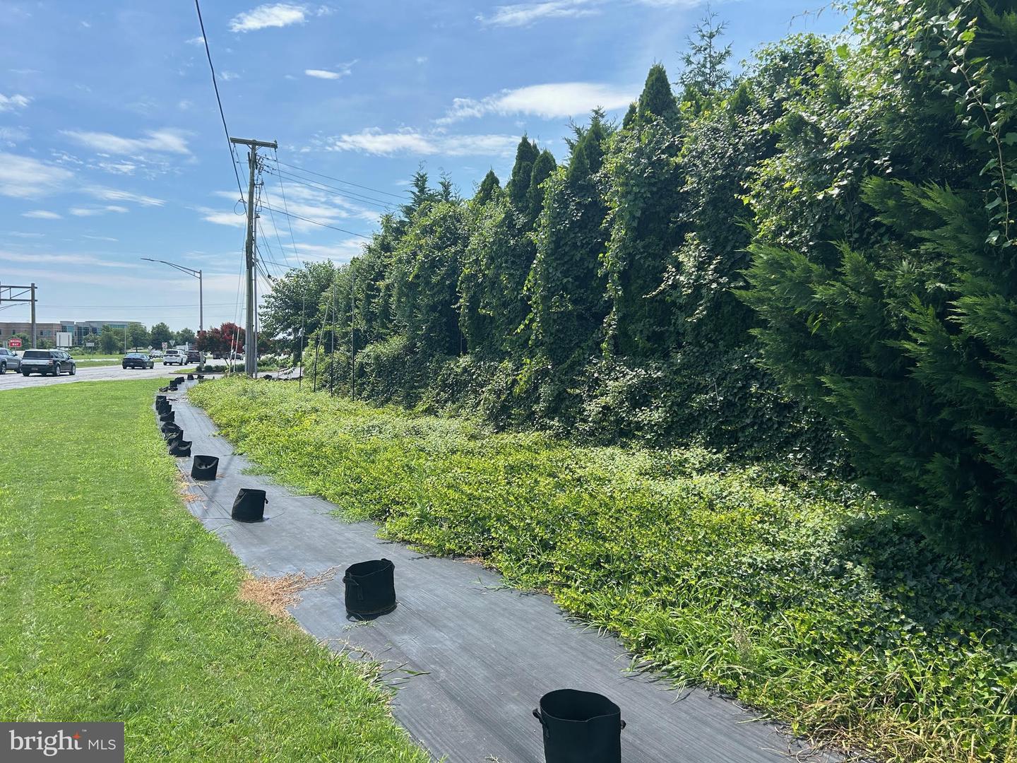 DEKT2039476-804023074606-2025-07-18-14-13-45 540 S Martin Luther King Jr Blvd | Dover, DE Real Estate For Sale | MLS# Dekt2039476  - Jack Lingo REALTOR