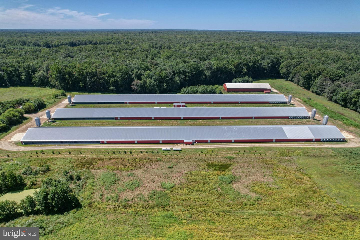 DEKT2040618-804130606576-2025-08-31-21-10-00 112 Open Meadow Ct | Clayton, DE Real Estate For Sale | MLS# Dekt2040618  - Jack Lingo REALTOR