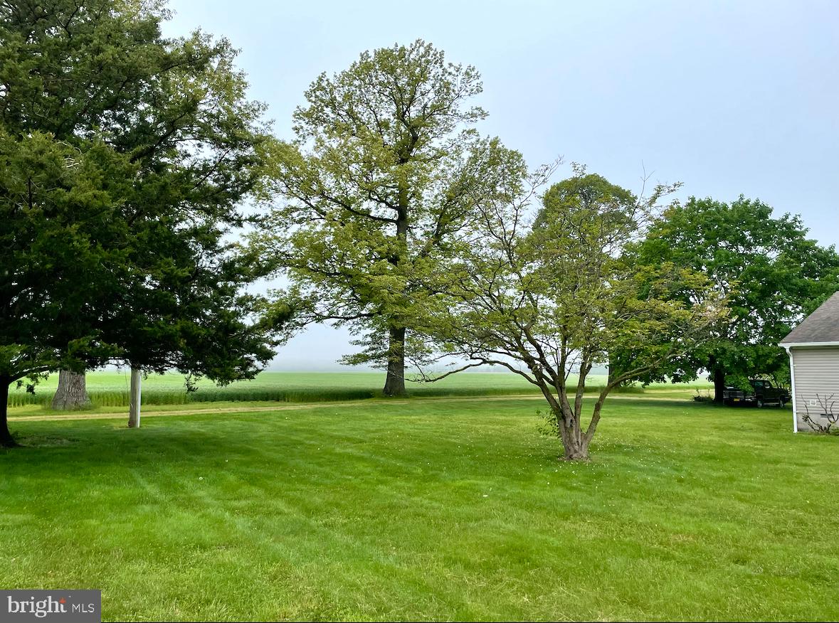 DEKT2040930-804159324022-2026-03-31-00-08-33 695 Cicada Ln | Milford, DE Real Estate For Sale | MLS# Dekt2040930  - Jack Lingo REALTOR