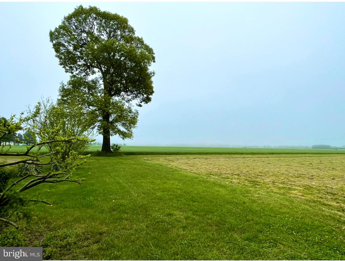 DEKT2040930-804159324272-2026-03-31-00-08-33 695 Cicada Ln | Milford, DE Real Estate For Sale | MLS# Dekt2040930  - Jack Lingo REALTOR