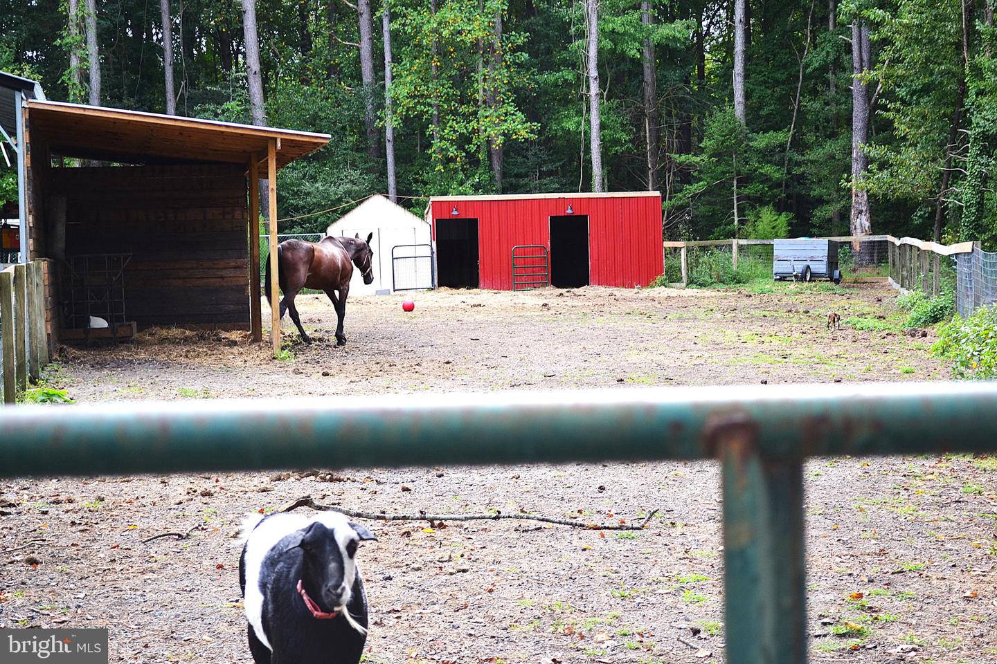 DEKT2040996-804173350012-2026-03-12-11-16-04 81 Pritchett Rd | Milford, DE Real Estate For Sale | MLS# Dekt2040996  - Jack Lingo REALTOR