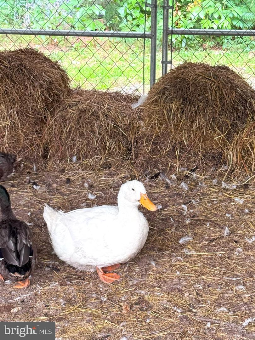 DEKT2040996-804173350076-2026-03-12-12-19-55 81 Pritchett Rd | Milford, DE Real Estate For Sale | MLS# Dekt2040996  - Jack Lingo REALTOR