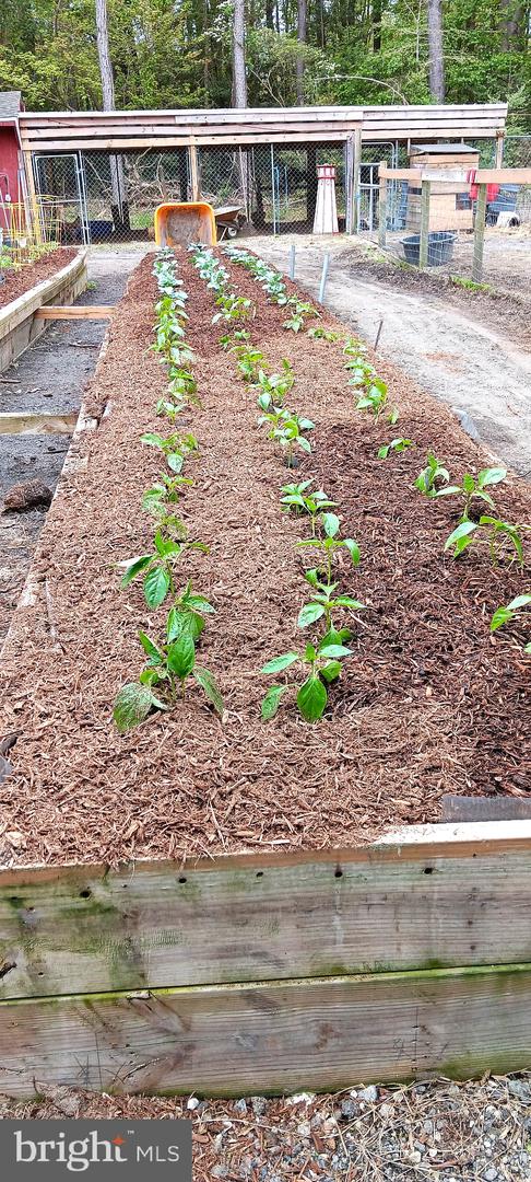 DEKT2040996-804173350084-2026-03-12-12-19-54 81 Pritchett Rd | Milford, DE Real Estate For Sale | MLS# Dekt2040996  - Jack Lingo REALTOR