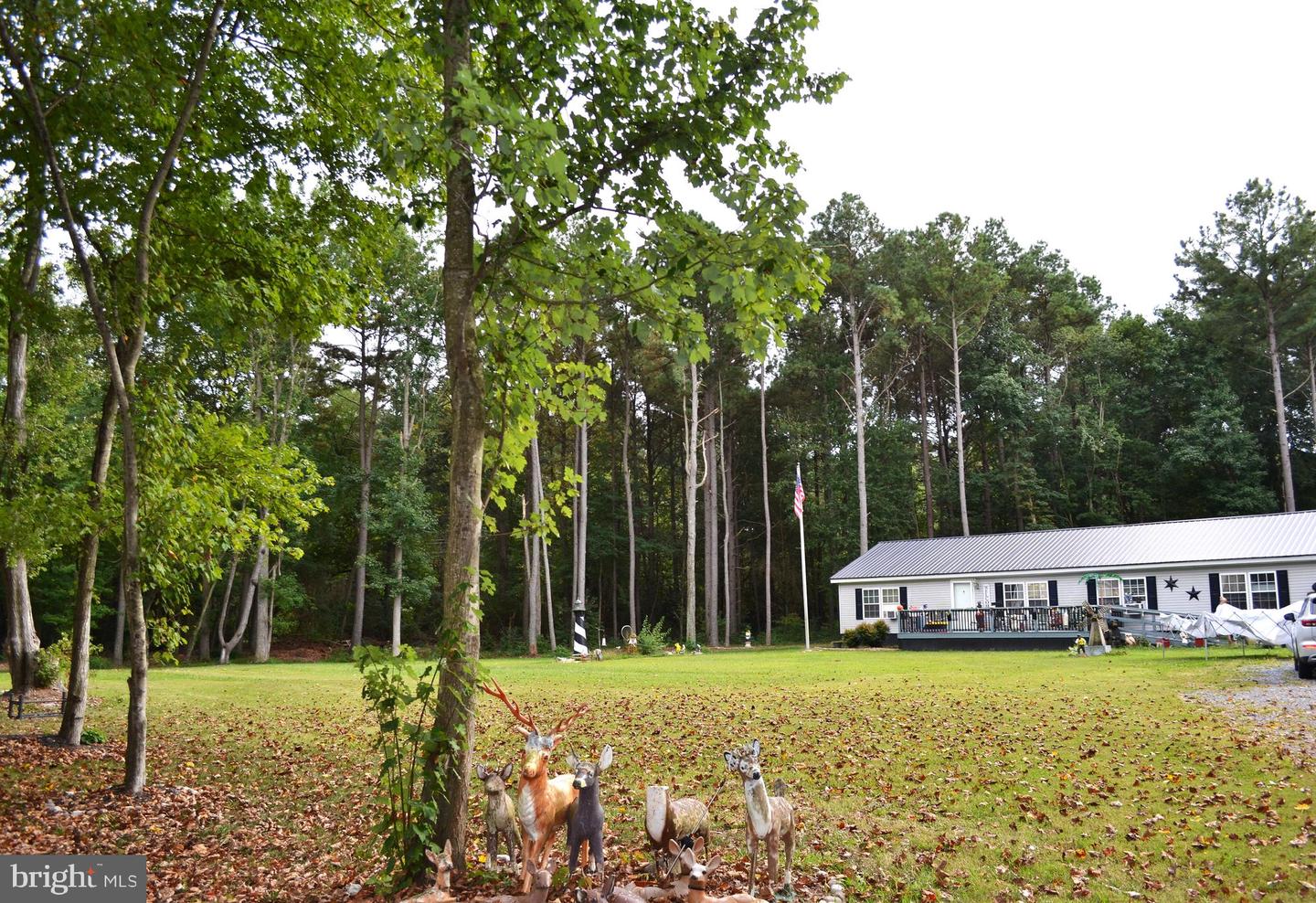 DEKT2040996-804173350092-2026-03-12-11-16-03 81 Pritchett Rd | Milford, DE Real Estate For Sale | MLS# Dekt2040996  - Jack Lingo REALTOR