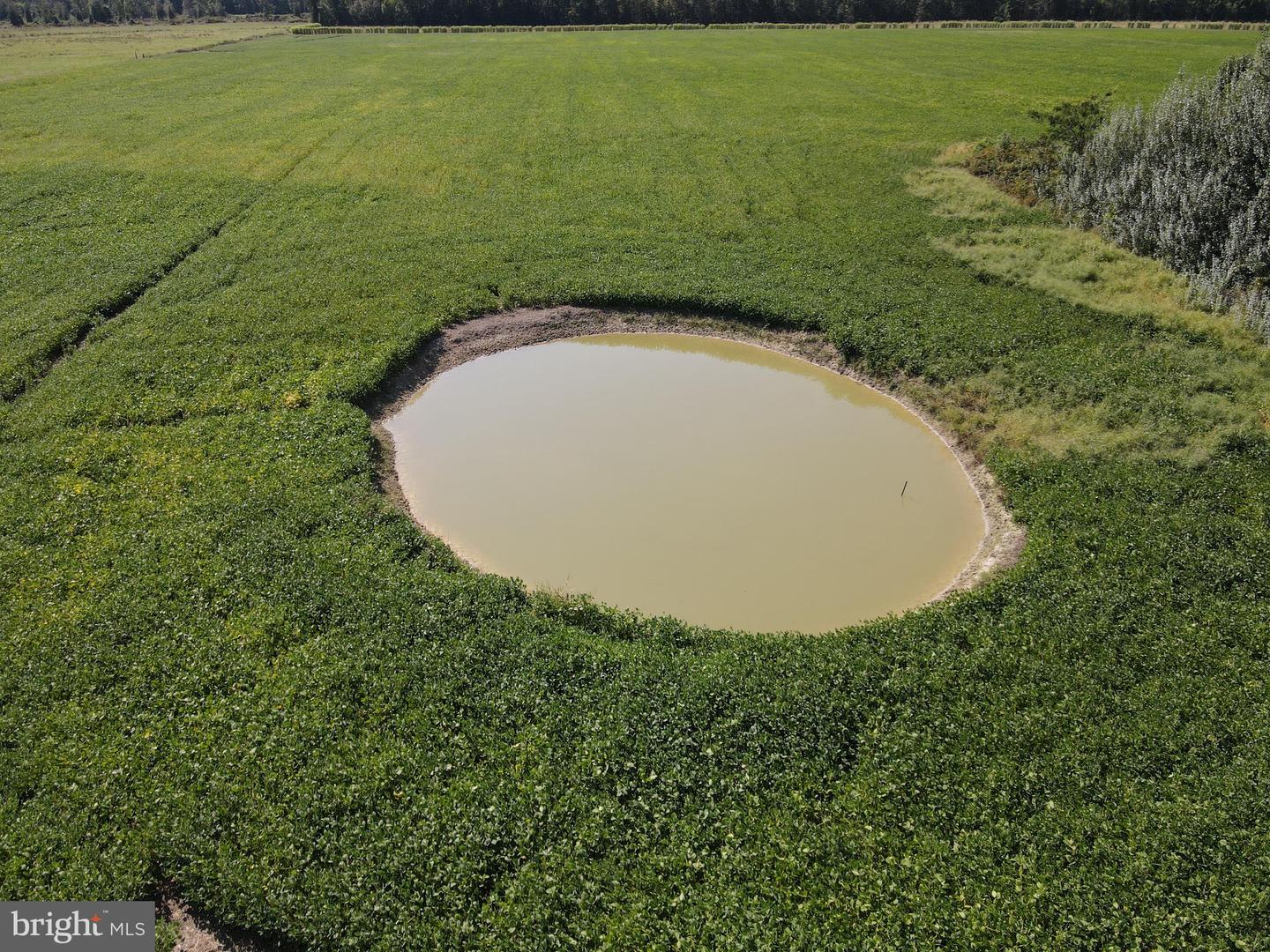 DEKT2041130-804190053032-2025-09-23-14-51-02 700-769 Sandtown Rd | Felton, DE Real Estate For Sale | MLS# Dekt2041130  - Jack Lingo REALTOR