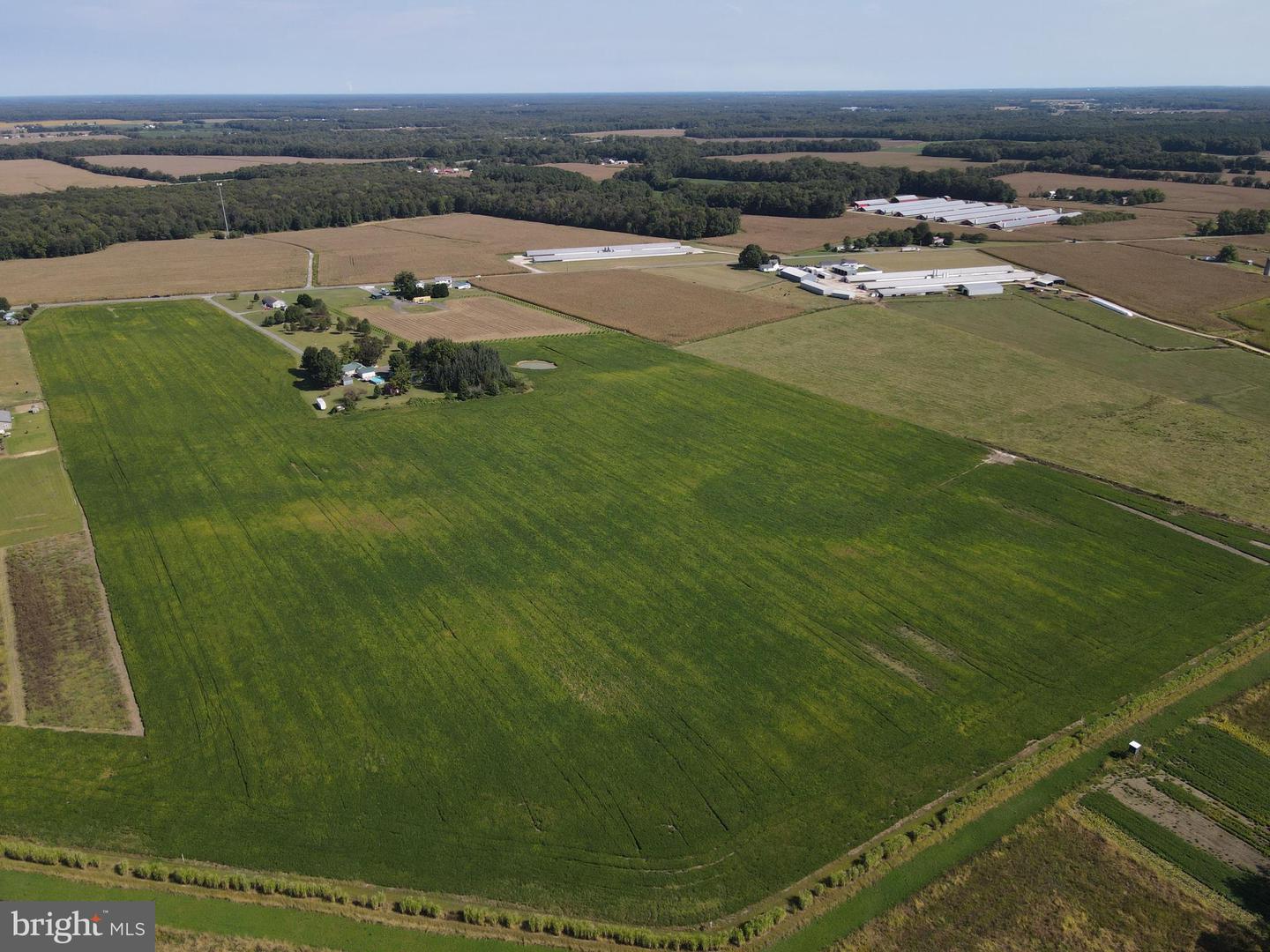 DEKT2041130-804190053250-2025-09-23-14-51-02 700-769 Sandtown Rd | Felton, DE Real Estate For Sale | MLS# Dekt2041130  - Jack Lingo REALTOR