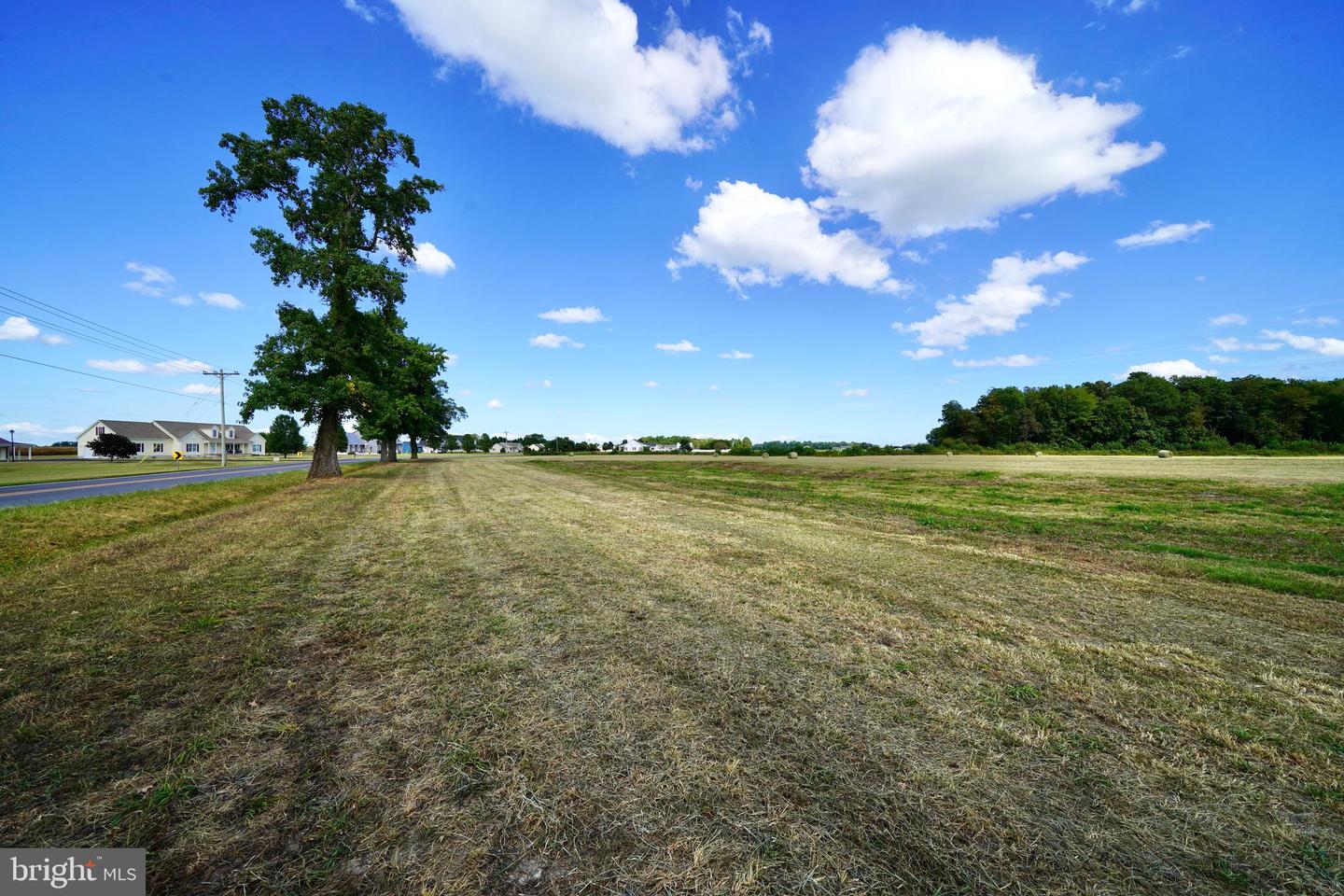 DEKT2041164-804180680276-2025-09-19-12-46-09 Lot 4 Hopkins Cemetery Rd | Harrington, DE Real Estate For Sale | MLS# Dekt2041164  - Jack Lingo REALTOR