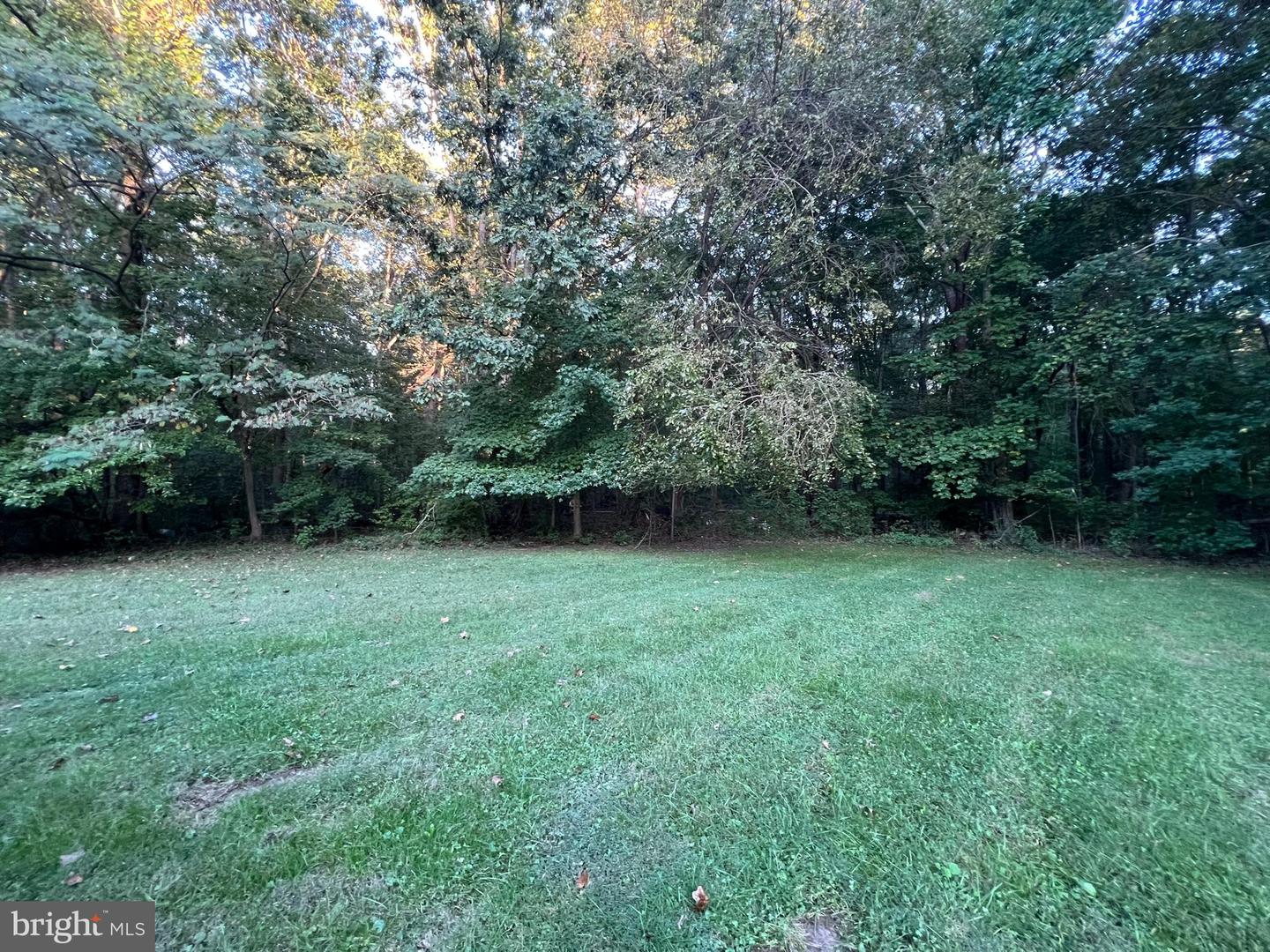 DEKT2041592-804219619530-2025-10-04-11-35-10 1290 & 1320 W College Rd | Dover, DE Real Estate For Sale | MLS# Dekt2041592  - Jack Lingo REALTOR DEKT2041592-804219619530-2025-10-04-11-35-10 1290 & 1320 W College Rd | Dover, DE Real Estate For Sale | MLS# Dekt2041592  - Jack Lingo REALTOR