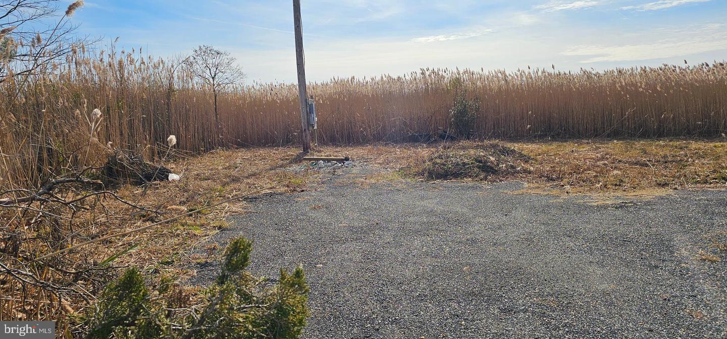 DEKT2042610-804321564802-2026-03-30-16-09-22 2806 Kitts Hummock Rd | Dover, DE Real Estate For Sale | MLS# Dekt2042610 - Jack Lingo REALTOR DEKT2042610-804321564802-2026-03-30-16-09-22 2806 Kitts Hummock Rd | Dover, DE Real Estate For Sale | MLS# Dekt2042610 - Jack Lingo REALTOR