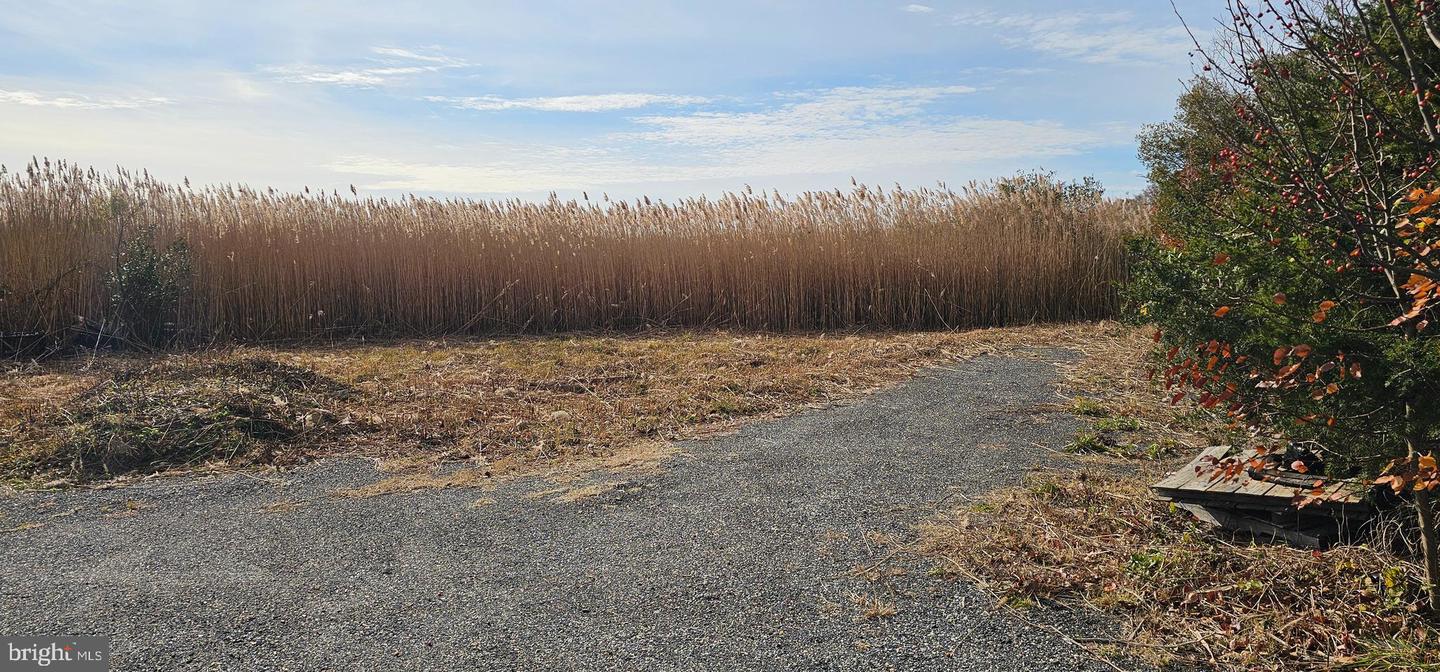 DEKT2042610-804321564874-2026-03-30-16-09-22 2806 Kitts Hummock Rd | Dover, DE Real Estate For Sale | MLS# Dekt2042610 - Jack Lingo REALTOR DEKT2042610-804321564874-2026-03-30-16-09-22 2806 Kitts Hummock Rd | Dover, DE Real Estate For Sale | MLS# Dekt2042610 - Jack Lingo REALTOR