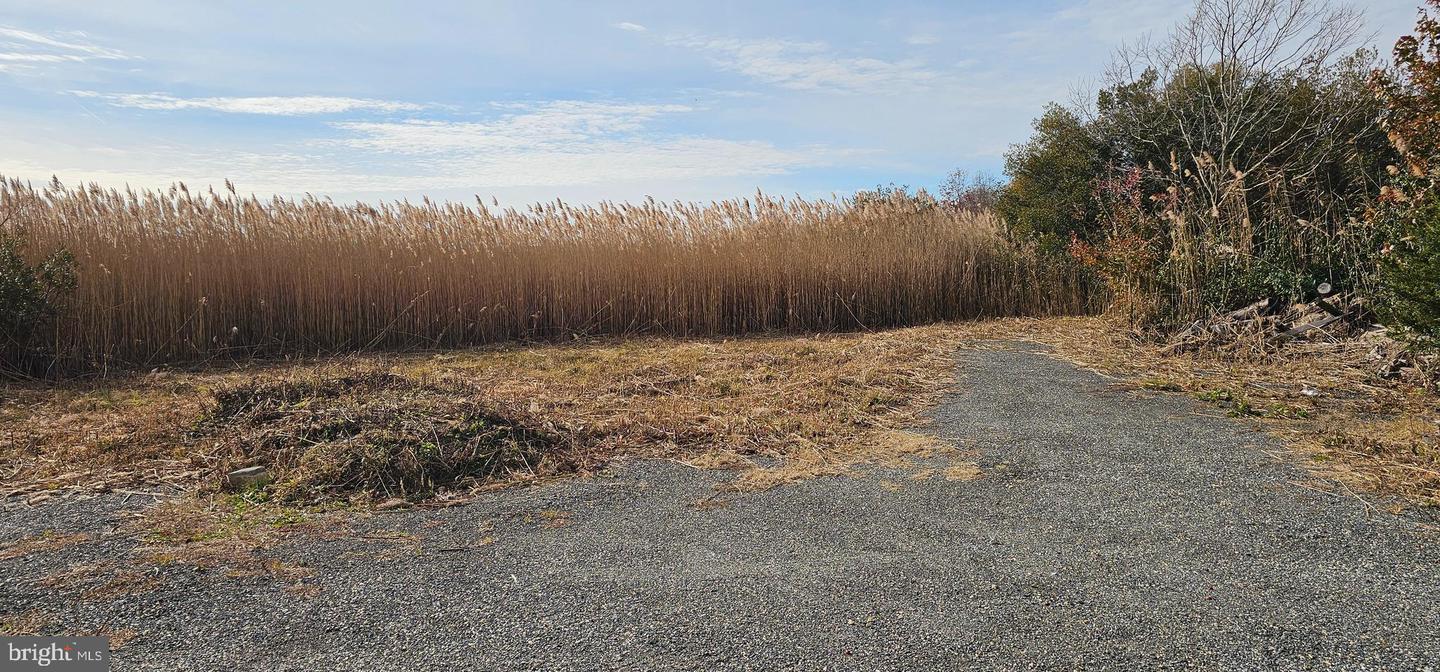 DEKT2042610-804321564916-2026-03-30-16-09-22 2806 Kitts Hummock Rd | Dover, DE Real Estate For Sale | MLS# Dekt2042610 - Jack Lingo REALTOR DEKT2042610-804321564916-2026-03-30-16-09-22 2806 Kitts Hummock Rd | Dover, DE Real Estate For Sale | MLS# Dekt2042610 - Jack Lingo REALTOR