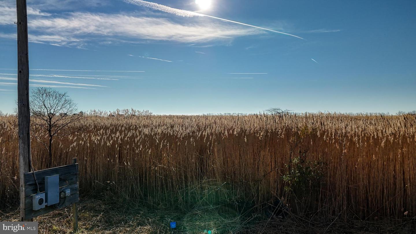 DEKT2042610-804338834514-2026-03-30-16-09-22 2806 Kitts Hummock Rd | Dover, DE Real Estate For Sale | MLS# Dekt2042610 - Jack Lingo REALTOR DEKT2042610-804338834514-2026-03-30-16-09-22 2806 Kitts Hummock Rd | Dover, DE Real Estate For Sale | MLS# Dekt2042610 - Jack Lingo REALTOR