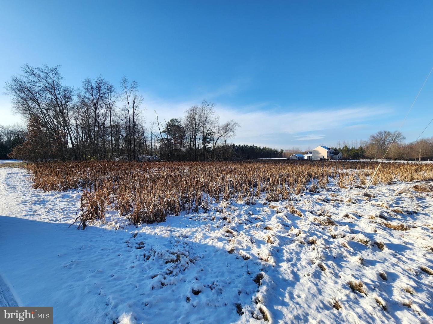 DEKT2043134-804367729494-2025-12-21-16-10-55 653 Grygo Rd | Marydel, DE Real Estate For Sale | MLS# Dekt2043134  - Jack Lingo REALTOR