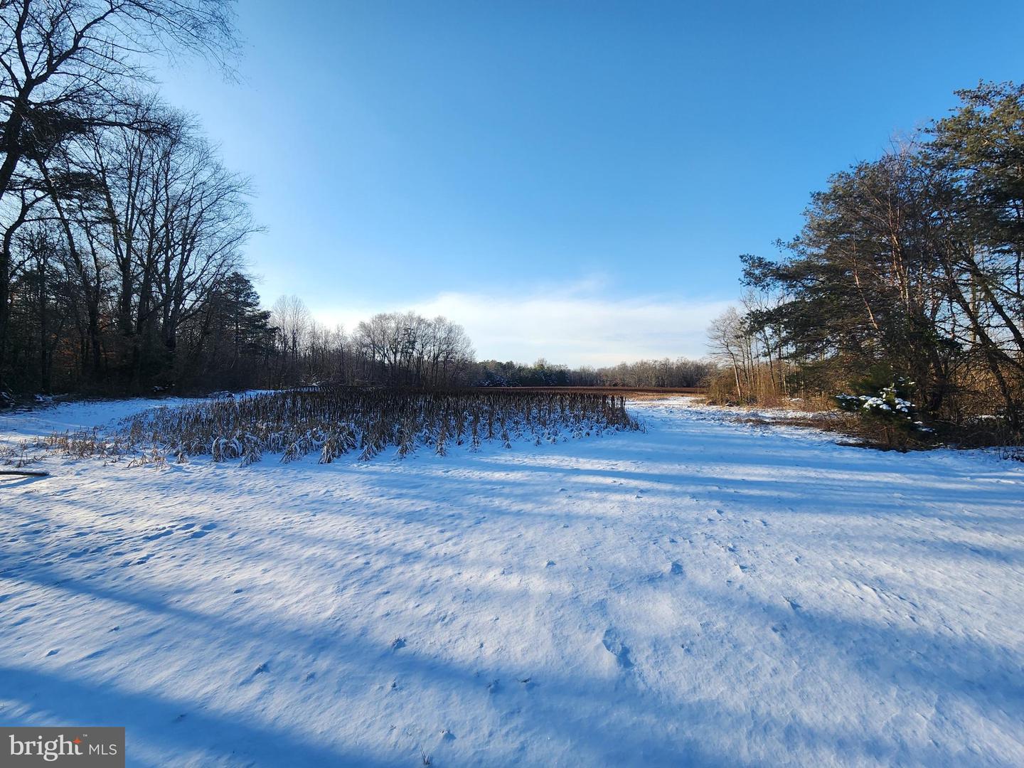 DEKT2043134-804367729600-2025-12-21-16-10-56 653 Grygo Rd | Marydel, DE Real Estate For Sale | MLS# Dekt2043134  - Jack Lingo REALTOR