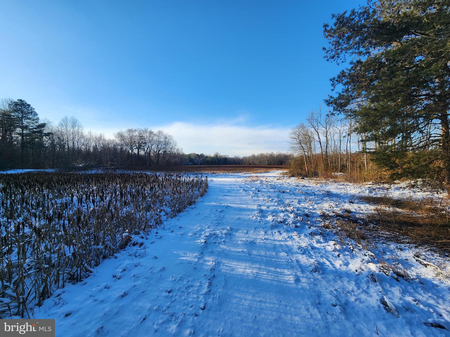 DEKT2043134-804367729646-2025-12-21-16-10-55 653 Grygo Rd | Marydel, DE Real Estate For Sale | MLS# Dekt2043134  - Jack Lingo REALTOR